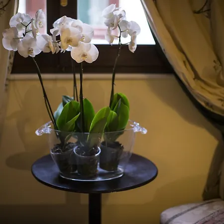 Charme Celestino V° ラクイラ