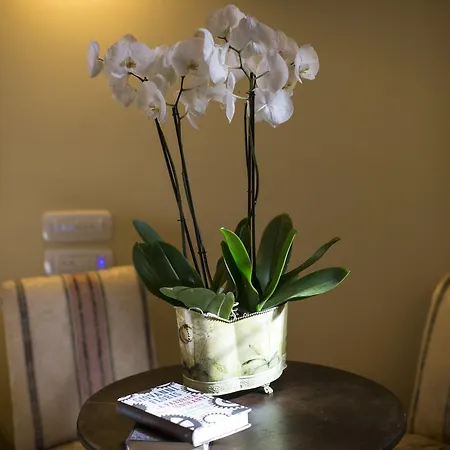 Charme Celestino V° Bed & Breakfast L'Aquila