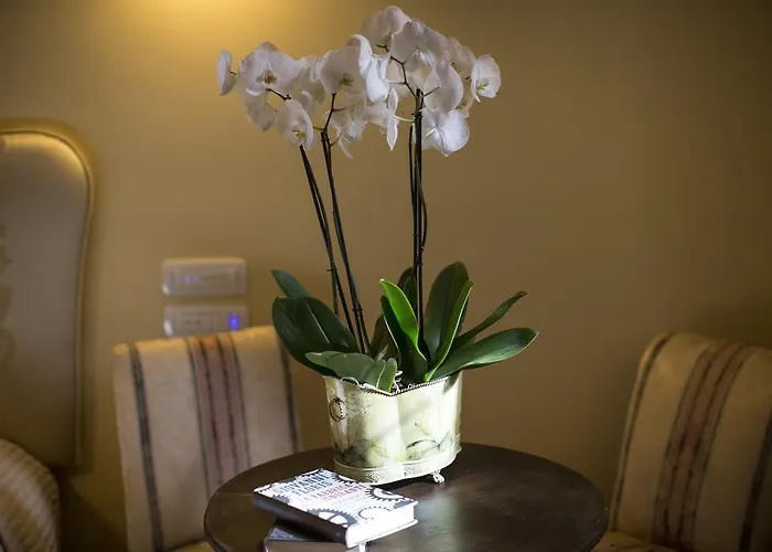 Charme Celestino V° Alojamento de Acomodação e Pequeno-almoço LʼAquila